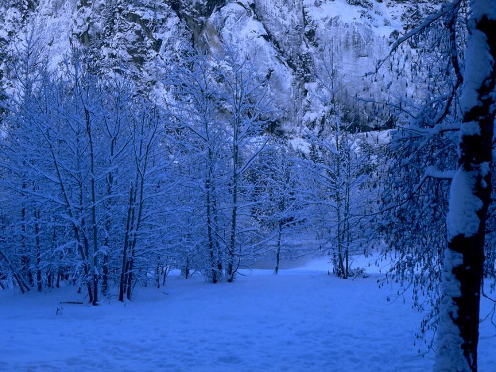Snowy [1993– ]