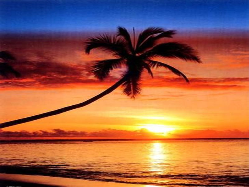 quotes and images tropical sunset